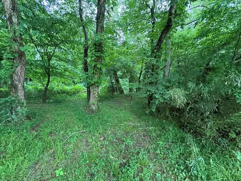 00 Green Acorn Ln, Murphy, NC 28906 photo 19