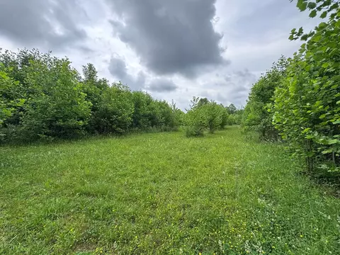 00 Green Acorn Ln, Murphy, NC 28906 photo 15