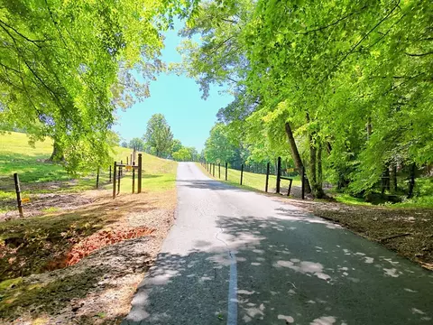 Other - 1193 Pine Log Rd, Warne, NC 28909 photo 14 of 16