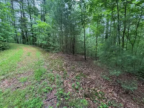 lot11 Horse Camp Dr, Hayesville, NC 28904