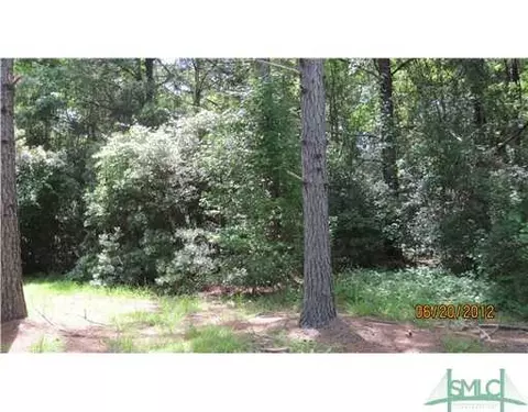 408 Zipperer Rd, Guyton, GA 31312 photo 1