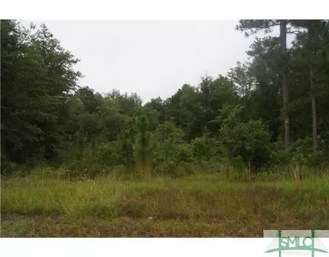105 Mingledorff Way, Springfield, GA 31329 photo 1