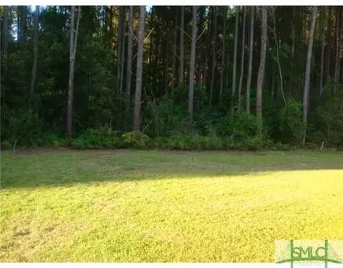 20 Stalwick Dr, Pooler, GA 31322 photo 3