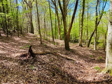2 Curry Falls Trail Rd # B, Athens, GA 30607
