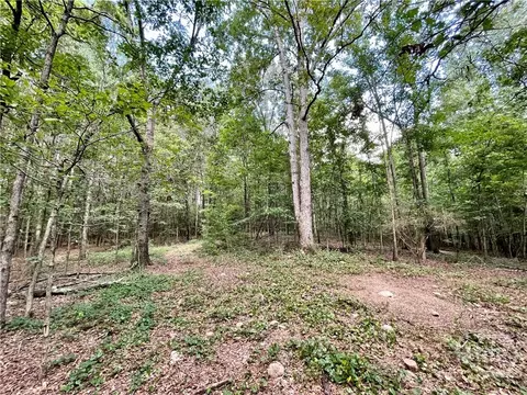 742 Harmony Gates Dr, Commerce, GA 30529 photo 19