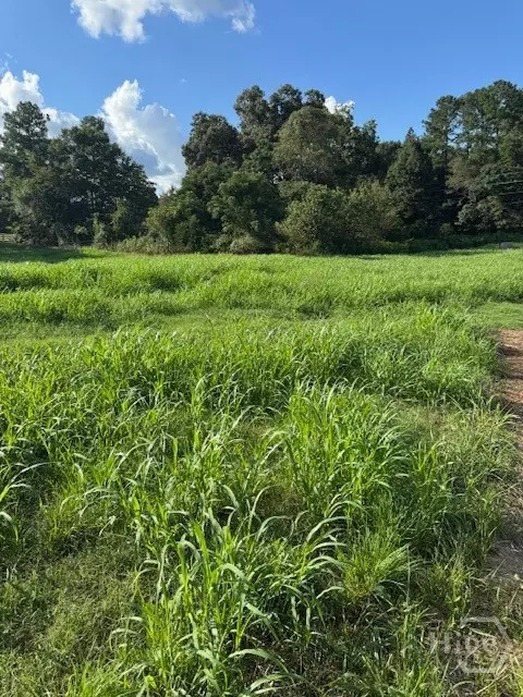 0 Rita Rdg #LOT 1, Jefferson, GA 30549