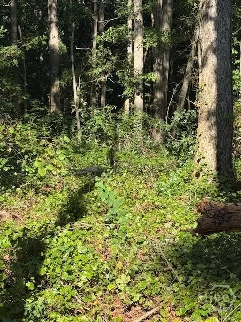 0 Rita Rdg #LOT 5, Jefferson, GA 30549