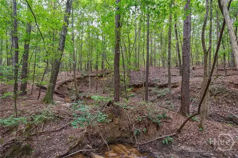 0 Lower Wirebridge Rd, Stephens, GA 30667 photo 16