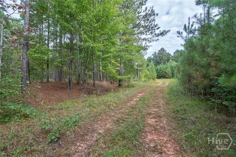 0 Lower Wirebridge Rd, Stephens, GA 30667 photo 5