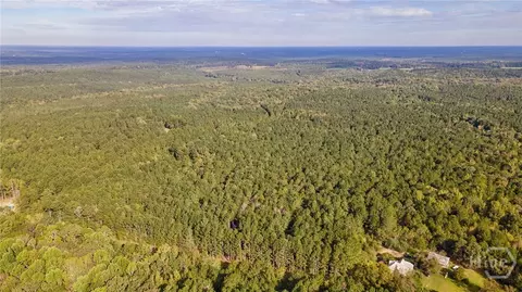 0 Lower Wirebridge Rd, Stephens, GA 30667 photo 38