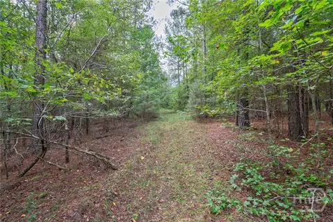 0 Lower Wirebridge Rd, Stephens, GA 30667 photo 6