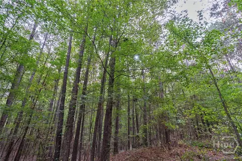 0 Lower Wirebridge Rd, Stephens, GA 30667 photo 19