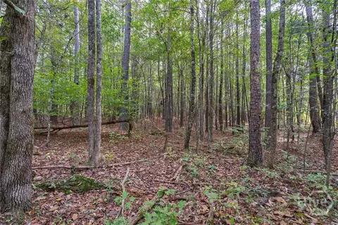 0 Lower Wirebridge Rd, Stephens, GA 30667 photo 4
