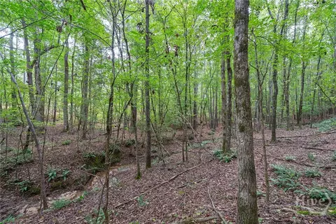 0 Lower Wirebridge Rd, Stephens, GA 30667 photo 10