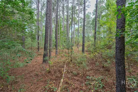 0 Lower Wirebridge Rd, Stephens, GA 30667 photo 29