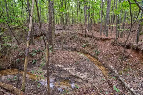 0 Lower Wirebridge Rd, Stephens, GA 30667 photo 15