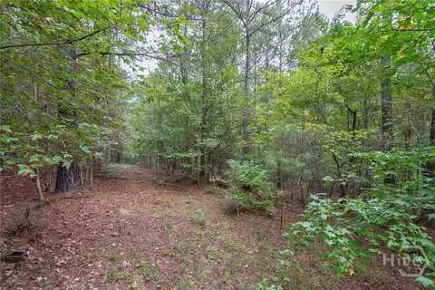 0 Lower Wirebridge Rd, Stephens, GA 30667 photo 21