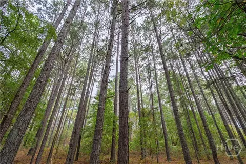 0 Lower Wirebridge Rd, Stephens, GA 30667 photo 8