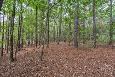 0 Lower Wirebridge Rd, Stephens, GA 30667 photo 27