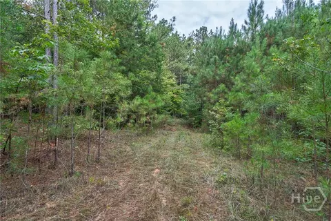 0 Lower Wirebridge Rd, Stephens, GA 30667 photo 24