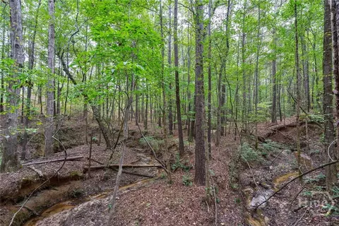 0 Lower Wirebridge Rd, Stephens, GA 30667 photo 18