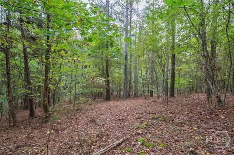 0 Lower Wirebridge Rd, Stephens, GA 30667 photo 7