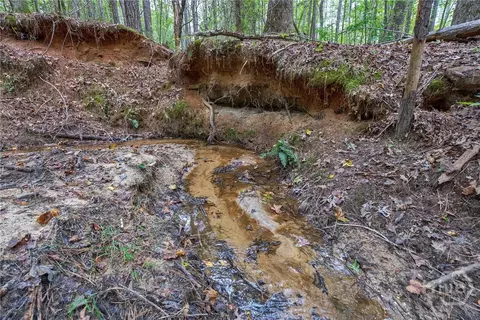 0 Lower Wirebridge Rd, Stephens, GA 30667 photo 17