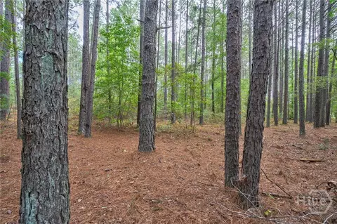 0 Lower Wirebridge Rd, Stephens, GA 30667 photo 28