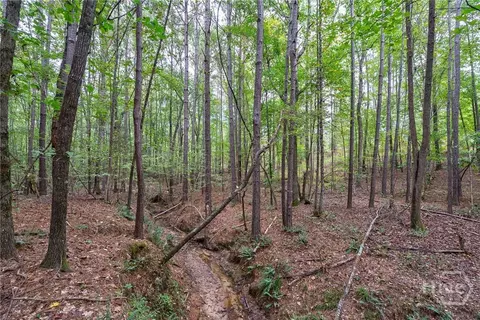 0 Lower Wirebridge Rd, Stephens, GA 30667 photo 14