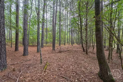0 Lower Wirebridge Rd, Stephens, GA 30667 photo 26