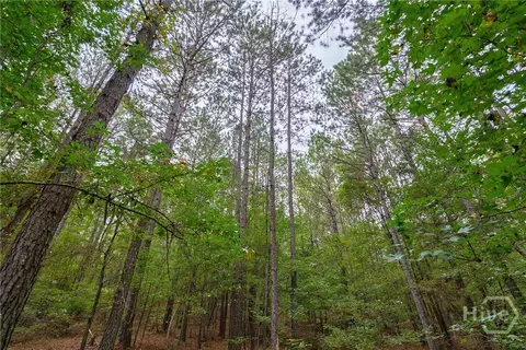 0 Lower Wirebridge Rd, Stephens, GA 30667 photo 20
