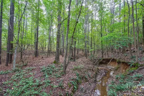 0 Lower Wirebridge Rd, Stephens, GA 30667 photo 11