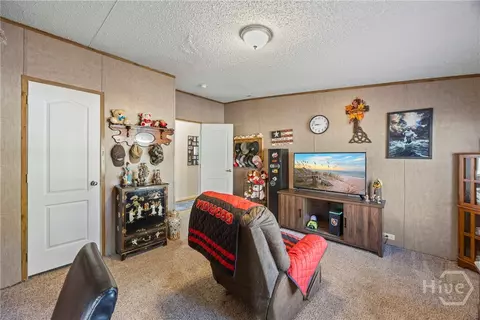 311 Pace Dr, Nicholson, GA 30565 photo 29