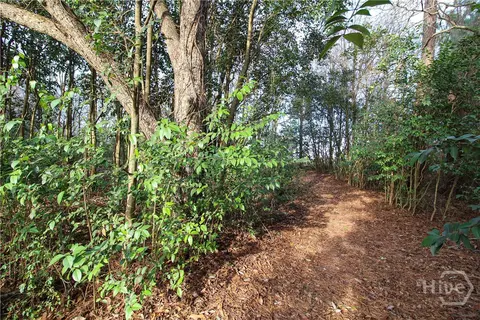 Other - 921 Highway 72 E, Comer, GA 30629 photo 6 of 6