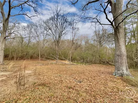 1271 Della Slaton Rd, Comer, GA 30629 photo 26