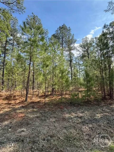 0 Anthony Shoals Rd, Tignall, GA 30668