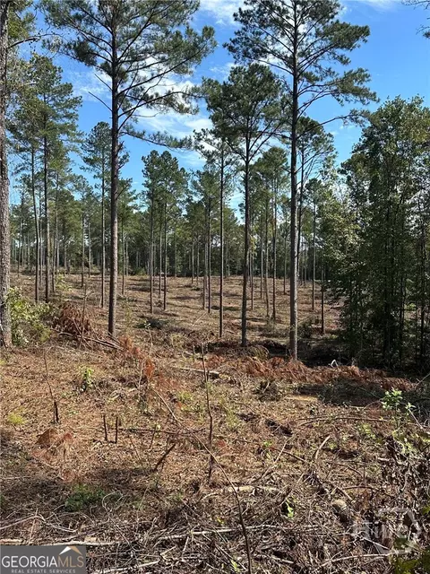 0 Seven Islands Rd, Madison, GA 30650