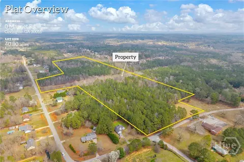 0 Richards Chapel Rd, Covington, GA 30016 photo 2