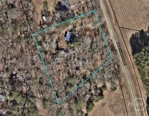 1541 Pete Dickens Rd, Bogart, GA 30622