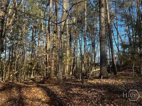 0 Alpine Way, Lavonia, GA 30553