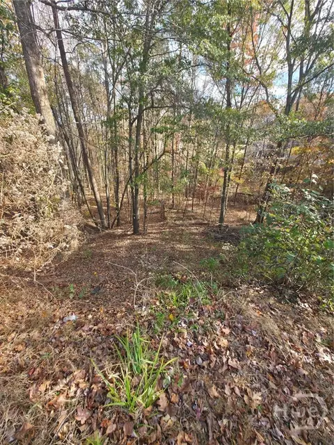 2412 Snowshoe Bnd, Bethlehem, GA 30620