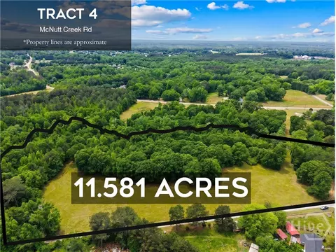 Tract 4 Mcnutts Creek Road, Bogart, GA 30622