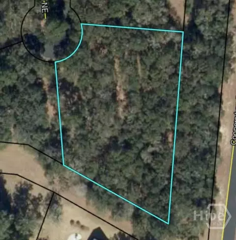 0 Blackberry Ln NE, Townsend, GA 31331
