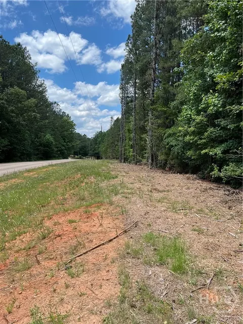 0 Stinchcomb Rd, Elberton, GA 30635 photo 4