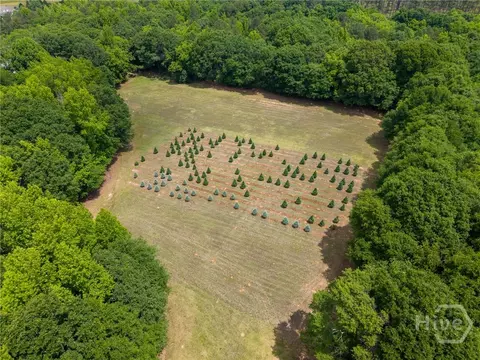 6 04 Acres Old Bishop Rd, Bishop, GA 30621 photo 16