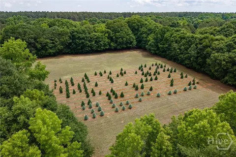 6 04 Acres Old Bishop Rd, Bishop, GA 30621 photo 17