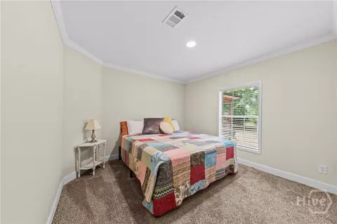 205 Hope Dr, Comer, GA 30629 photo 19