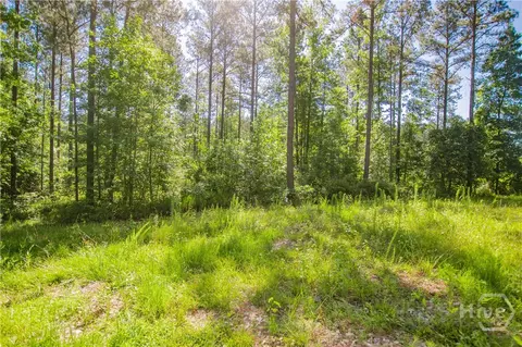 0 Weaver Jones Rd, Rutledge, GA 30663 photo 23