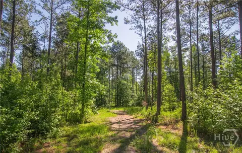 0 Weaver Jones Rd, Rutledge, GA 30663 photo 9