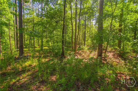 0 Weaver Jones Rd, Rutledge, GA 30663 photo 30